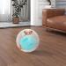 JVHLOV Dwarf Hamster Ball Hamster Running Wheel Small Animal Activity Toy Hamster Ball Pet Mouse Mice Gerbil Exercise Wheel Toy Blue 14.5cm/5.71inch diameter - Buy Online on SooperMarket.com