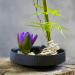 Round Flower Frog & Ceramic Flower Pot Set - Hammer-Pattern Black Ikebana Arrangement for Floral Art - Buy Online on SooperMarket.com