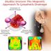 2024 NEW Lymphflow Magnetogen Earrings Lymphatic Magnetotherapy Germanium Earrings Halolux Lymphvity Magnetic Therapy Acupuncture Earrings Lymph Drainage Earrings Jewelry For Women Purple - Buy Online on SooperMarket.com