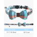 Tagme Cat Collar with Names & Phone Number - Safety Closure & Bell - Haunted Blue - 1 Pack - Buy Online on SooperMarket.com