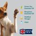 Pet Odour Eliminator: All-Natural Dog & Cat Urine Cleaner - 1 Litre - Buy Online on SooperMarket.com