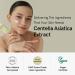 ONE THING Centella Moisturizing Sunscreen | CICA Soothing & Hydrating UV Protection | Reef-Friendly Mineral Cream for Sensitive Skin | Korean Skincare 1.69 Fl Oz - Buy Online on SooperMarket.com
