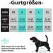 POPOT No-Pull Dog Harness - Reflective Pet Vest for Daily Training & Walking - Mint Blue (L) - Buy Online on SooperMarket.com