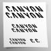 Generic sticker set compatible with canyon black lettering logos MTB Mountainbike |Decals stickers available in different colors bicycle sticker