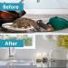 SUAVEC Rodent Repellent 8 Pack - Peppermint Oil Mouse and Rat Deterrent for House, RV, and Outdoor Use - Buy Online on SooperMarket.com