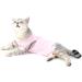 Ranphy Cat Recovery Suit for Abdominal Wounds or Skin Diseases Soft Cotton Surgical Recovery Shirt Breathable E-Collar Alternative After Surgery Home Indoor Anti Licking Clothes Pink M M(Chest:34cm Back:25cm Neck:24cm) pink - Buy Online on SooperMarket.com