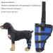 Dog Right Rear Leg Hock Brace - Neoprene Material Prevents Injuries Provides Stability with Support Strip Reflective Strip for Dogs (S) - Buy Online on SooperMarket.com