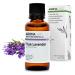 Organic True Lavender Essential Oil - 30ml - 100% Pure Ecocert Certified Organic - Best Therapeutic Grade Essential Oil - AROMA LABS True Lavender 30ml