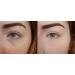 Elf Makeup Setting Mist & Eyelid Primer | Long-lasting Makeup Fixation - Buy Online on SooperMarket.com
