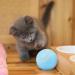 2PCs Power Ball 2.0 Cat Toy - Interactive Rotating 360 Automatic Cat Toy for Fun & Exercise | Aiveys - Buy Online on SooperMarket.com