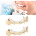 Hip Hop Brace Party Teeth Brace Compatible for Halloween for Party for Music Concerts(Gold) - Buy Online on SooperMarket.com