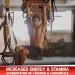 Predator Labs Carbolix 2kg - Carbohydrate endurance formula - 40 servings unflavored Gradual and sustained absorption of energy. Elevate your energy levels substantially enhance endurance and facilitate muscle gain. - Buy Online on SooperMarket.com