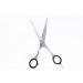 Professional Hairdressing Scissor - Hair Cutting Scissor Barber Shears for Texturizing Premium Quality Stainless Steel Comfortable Ergonomic Handle - Buy Online on SooperMarket.com
