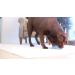 Chuckit! Indoor Super Slider Dog Fetch Toy with Squeaker for Interactive Play - Buy Online on SooperMarket.com
