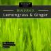 Woodbridge Lemongrass Ginger Fragrance Wax Melts - 8 Aromatherapy Melts for Lamps | 10h Burn Time | Room Fragrance - Buy Online on SooperMarket.com
