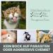 Noms Zpot-On Tick Repellent for Cats | Annual Supply with Natural Ingredients | Effective Against Ticks Mites Fleas & Sand Flies - Buy Online on SooperMarket.com