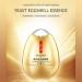 VENZEN Cream Yeast Eggshell - Anti-Aging Natural Soft Skin Essence | 30g - International Shipping Available - Buy Online on SooperMarket.com