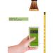 MAINENG UVA UVB 8525 LED Bulb for Reptiles & Amphibians - UV Light Lamp - Buy Online on SooperMarket.com