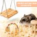 Sofier Natural Wooden Hamster Chew Toys Set - Ideal for Syrian Hamster, Rats, Guinea Pigs, and More! - Buy Online on SooperMarket.com