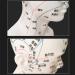 30 cm acupoint Head Model in Medical Body Meridian Teaching Diagram Acupuncture Multi-Functional Head Exquisite Display Room - Buy Online on SooperMarket.com