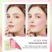 Lovelycat On-the-Go Makeup Blush Stick Tinted Moisture Stick Shadow Lips Cheek Blusher Creamy Makeup Long Lasting Natural Nude Makeup for All Skin (pink) - Buy Online on SooperMarket.com