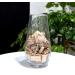Byher Craft Sticks Mini Wood Logs - Rustic Farmhouse Decor Twigs - Buy Online on SooperMarket.com