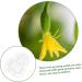 GANAZONO 12 Pcs Vegetable Mold Plastic Fruit Pumpkin for Fruits Mold Watermelon Strawberry 9x8cmx4pcs Transparentx4pcs - Buy Online on SooperMarket.com