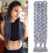 Tess Braids Extensions Art Hair Crochet Jumbo Braids Synthetics Braiding Hair 1PCs 165g/Bundelge 41 (100cm) Extensions silver gray 104 cm (1 piece) gray