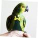 Shop MipCase Flying Bird Diapers | Nymphensittich Flight Suit & Cotton Pet Pee Pad - International Shipping Available - Buy Online on SooperMarket.com