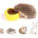 Ceramic Hamster Food Bowl DBAILY 3PCS Hamster Feeding Bowls Eating Basin Feeder Hedgehog Feeder Water Bowl Dish Holder for Guinea Pig Rodent Rat Gerbil Cavy - Buy Online on SooperMarket.com