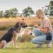 Trixie Hundeleckerli Premio Chicken Filets 1kg - Gluten-Free Grain-Free Dog Treats for Training & Rewards - Buy Online on SooperMarket.com