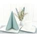 50 APARTina Eucalyptus Green Airlaid Napkins - Fabric-like 33x33 cm | Premium International Shipping - Buy Online on SooperMarket.com