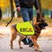 Nervous Dog Jacket Vest Service Dog Working Dog Anxious Dogs Scared Dogs Slogan Warning Vest (NO TOUCH Large) - Buy Online on SooperMarket.com