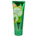 Bath and Body Works Signature Collection Cucumber Melon Body Cream  8 oz  new bottle style Cucumber 8 Ounce