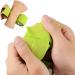 6Pcs Cohesive Bandage Pet Vet Self Adherent Bandage Wrap Bandaging Tape - Buy Online on SooperMarket.com