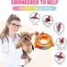 Cutially Waterproof Flea & Tick Protection Collar for Dogs & Cats | Adjustable Comb Included - Buy Online on SooperMarket.com