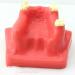 LBYLYH Dental Oral Model & Jaw Implant Surgical Model - Breast Lift Operation Training Tool - Buy Online on SooperMarket.com