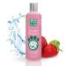 Shampoo for animals from company Menforsan Dog After-Shampooing (300 ml)