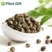 Plantgift Jasmine Dragon Pearls Tea 130g - Premium Green Tea & Oolong Blend - Best Jasmine Tea for a Soothing Experience | International Shipping - Buy Online on SooperMarket.com