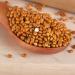 Organic Brown Millet 1.8 kg - Whole Grain Plastic-Free Eco-Friendly | s ssundclever.de - Premium Wild Millet from Germany - Buy Online on SooperMarket.com