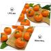 Alipis 5pcs Orange Model Artificial Fruit Mini Decor Light House Decorations for Home Trendy Decor Lifelike Orange Decorations Lifelike Fruit High Simulation Toy Child Foam - Buy Online on SooperMarket.com