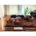Orgmemory Ceramic Fish Tank Cave Decorations - 2 Pieces | Aquarium Accessories for Aquatic Animals - Buy Online on SooperMarket.com