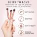 Rose Gold Eye Makeup Brush Set by Lily England - 8 Professional Brushes for Blending Eyeshadow, Concealer, Brows, and Eyeliner - Buy Online on SooperMarket.com
