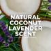 Tom's of Maine Women's Coconut Lavender Antiperspirant Deodorant 2.25 oz 3-Pack - Buy Online on SooperMarket.com