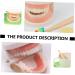Shop Minkissy 3 Sets Early Education Tooth Toys for Toddlers - Montessori Standard Reusable Kids' Dental Learning Toys - Buy Online on SooperMarket.com