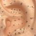 Human Body Model Acupuncture Pressure Points and Meridians 40cm - Buy Online on SooperMarket.com