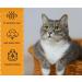 Escape-Proof Cat Harness Set for Walking Adjustable cat traction rope with backpack Kitten Harness&Lead Set Outdoor Walking Vest for Cute Cats and Small Dogs Yellow S - Buy Online on SooperMarket.com