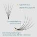 Obeyalash 1000Pcs Loose Premade 4D Eyelash Extensions - 0.07mm C Curl Handmade Lash Fans 8-15mm | Shop Now for International Shipping - Buy Online on SooperMarket.com