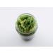 Goma Wakame Seaweed Salad with Sesame - 400g | Authentic Japanese Flavor | Buy Online Internationally - Buy Online on SooperMarket.com