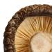 XingliFoods Dried Shiitake Mushrooms  16 oz Organic Top Grade Dried Mushrooms  3 4cm Natural Grown Mushroom  No Fumigation Sulfur - Buy Online on SooperMarket.com